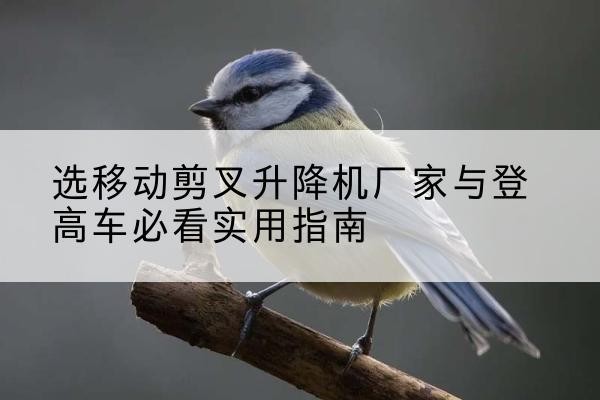 义安电动升降机厂家-选移动剪叉升降机厂家与登高车必看实用指南