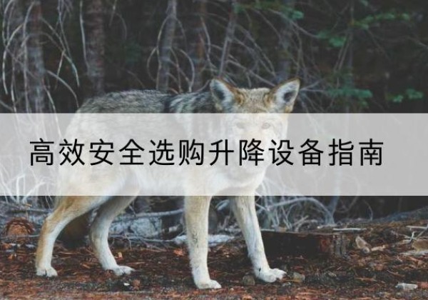 义安升降货梯厂家推荐-*安全选购升降设备指南