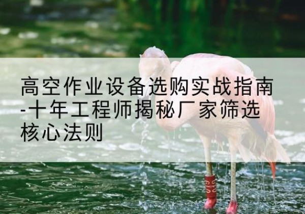义安剪叉式升降机厂家-高空作业设备选购实战指南-十年工程师揭秘厂家筛选核心法则